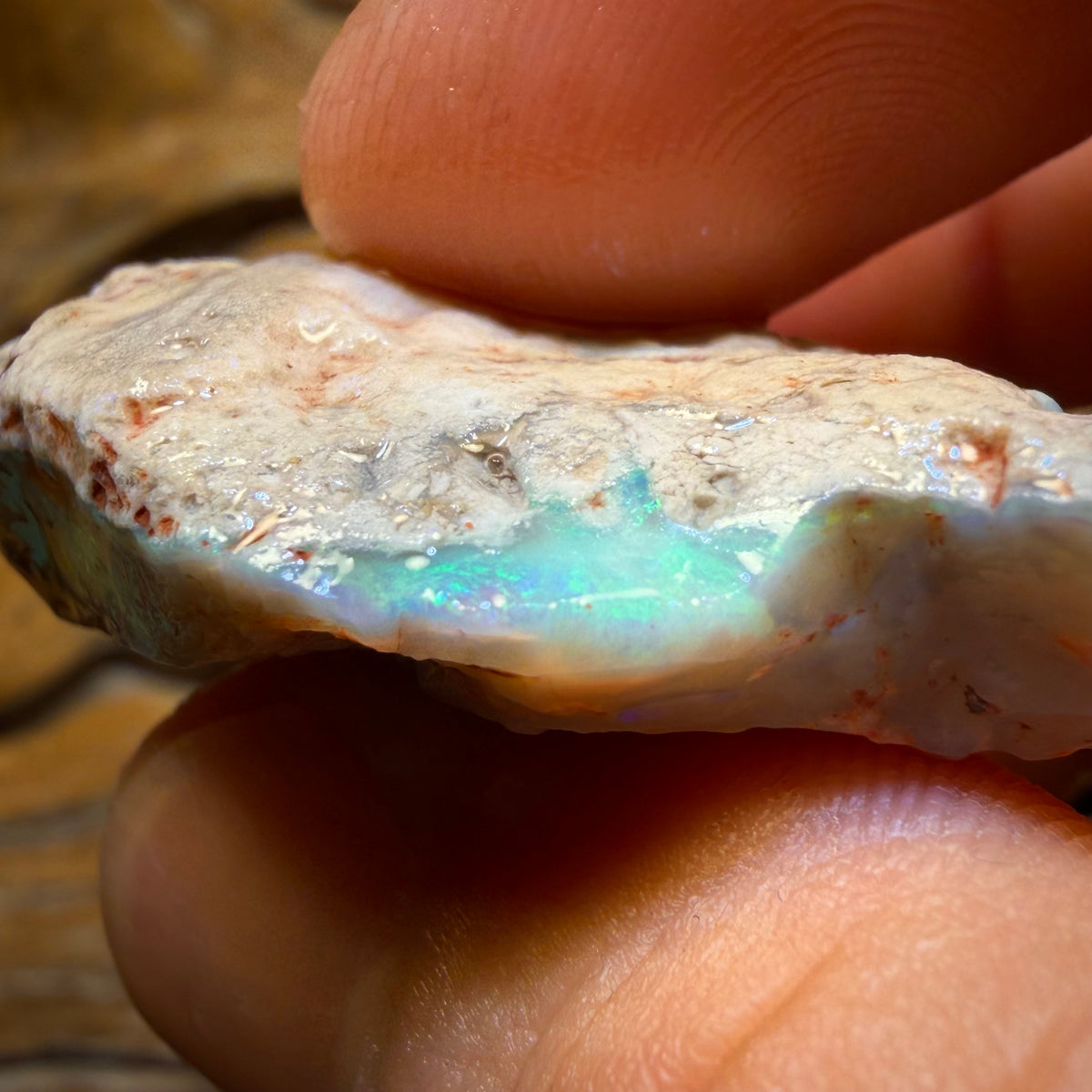 Wild Card! 69.9cts - Lightning Ridge Dark Opal Rough Piece