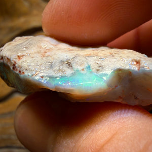 Wild Card! 69.9cts - Lightning Ridge Dark Opal Rough Piece