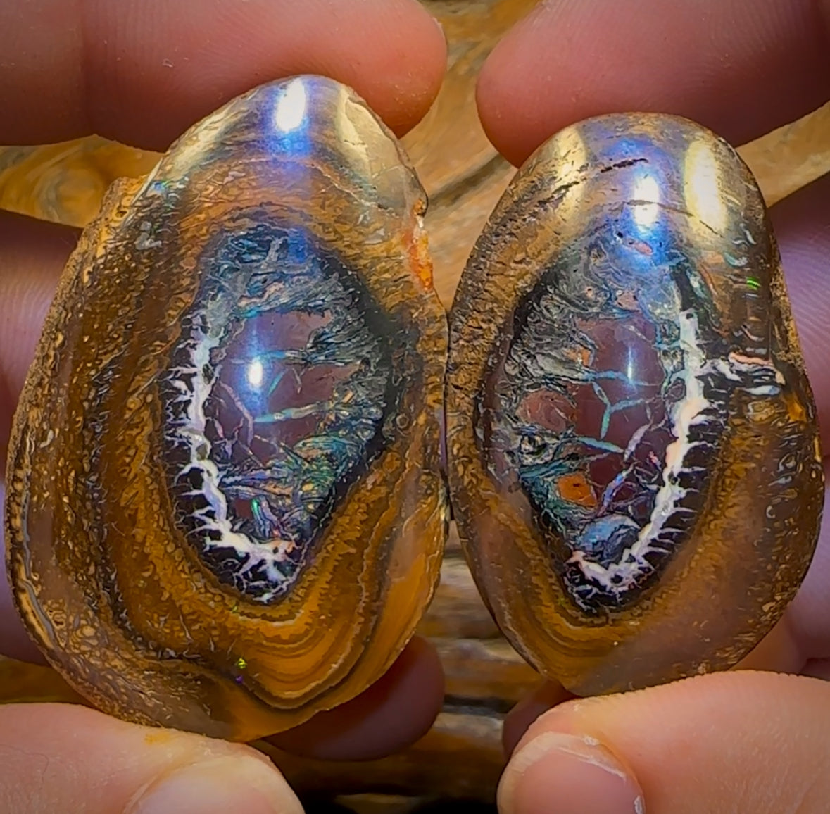 401.5cts - Yowah Nut Tribal Kernel Opal Specimen Pair