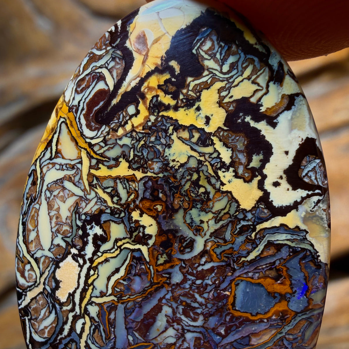 OpalFest WildCard! 42.3cts - Art Of Opal Style Picture Stone Tribal Yowah Nut Opal. Artistic Tribal