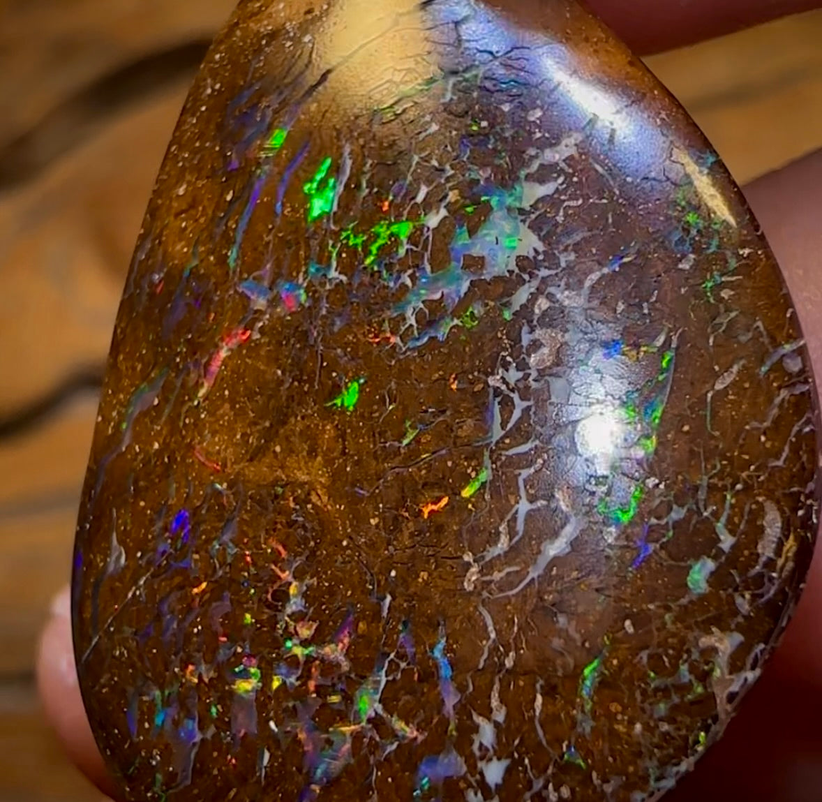 25.1cts - Bubble Band Opal from Winton