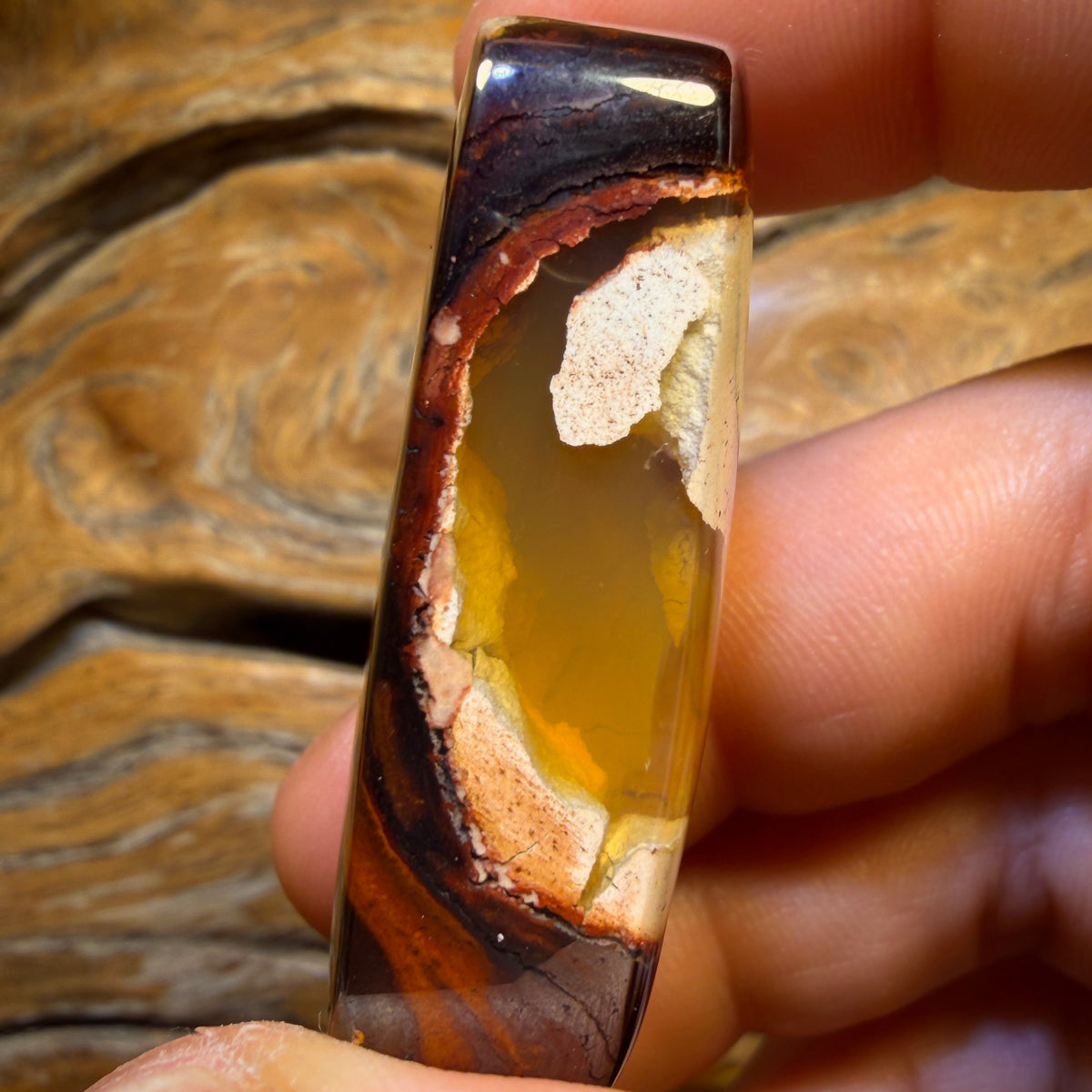 187.9cts - Yowah Nut Kernel Opal