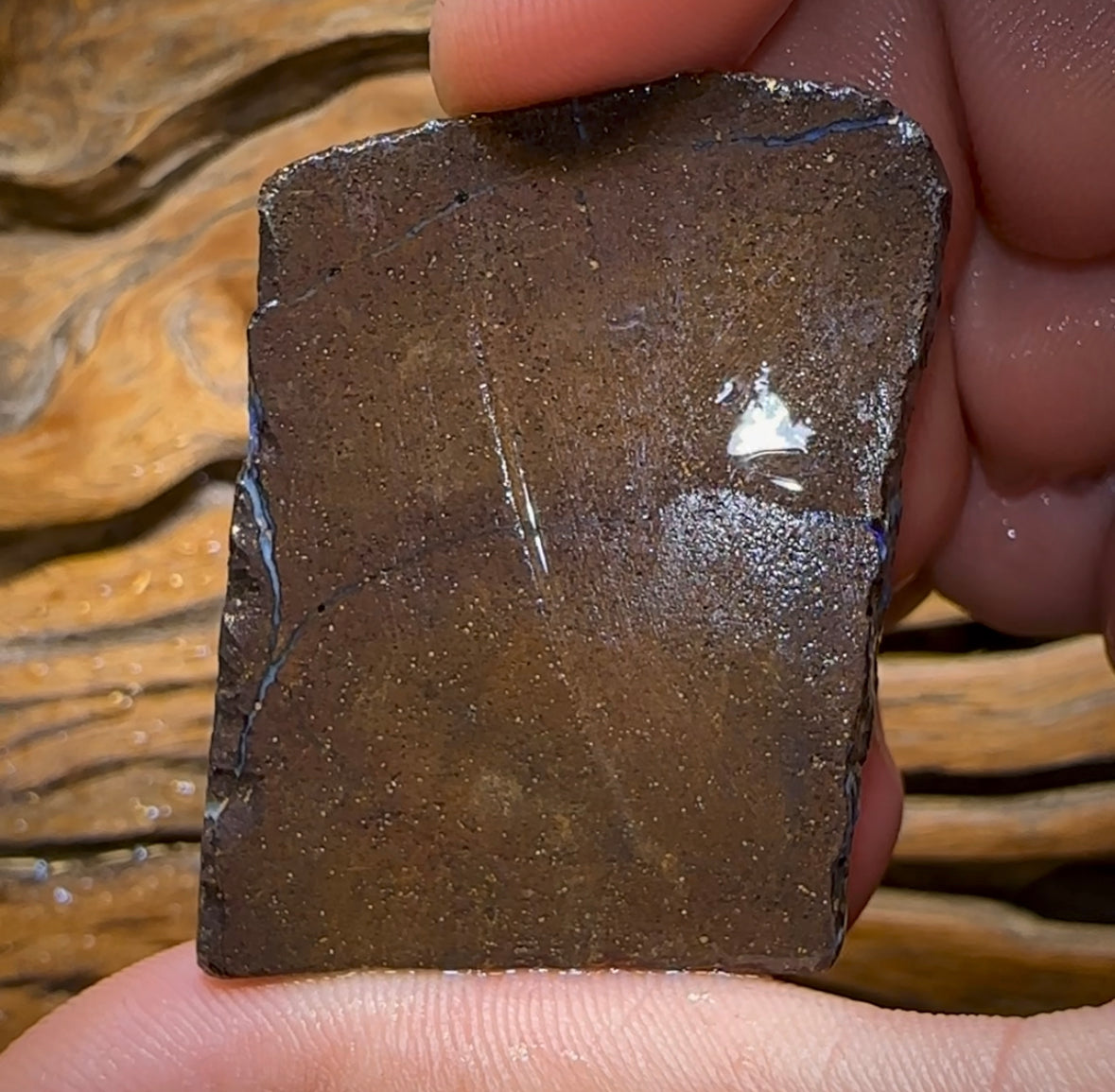 129.8cts - Australian Boulder Opal Rough Preform. Natural Split - Opal Whisperers