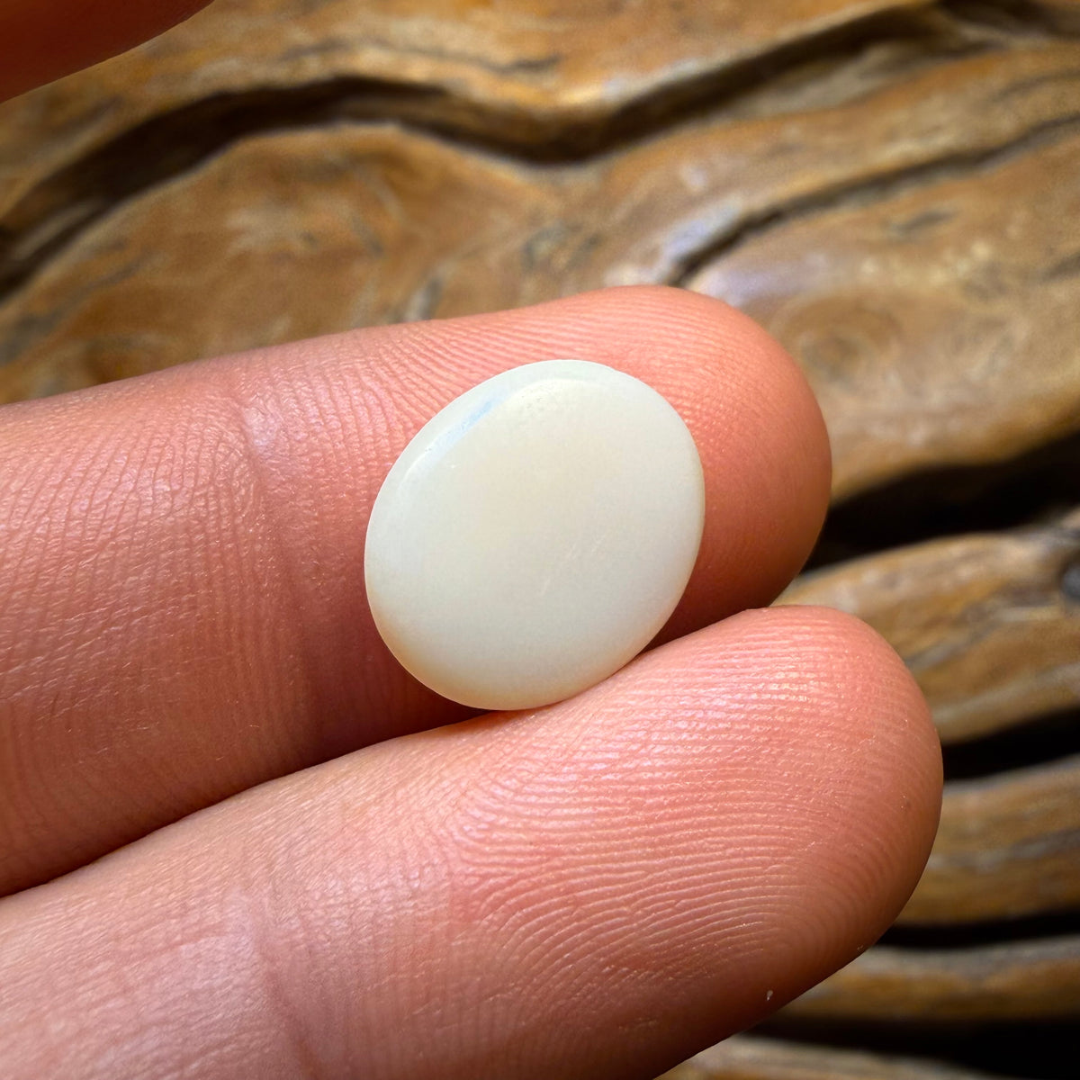 Wildcard! 4.1cts - South Australian White Opal from Coober Pedy