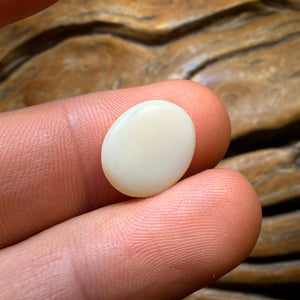 Wildcard! 4.1cts - South Australian White Opal from Coober Pedy