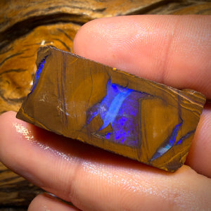 192.2cts - Found whilst Filming for Discovery Channel Duck Creek Boulder Opal Rough Preform