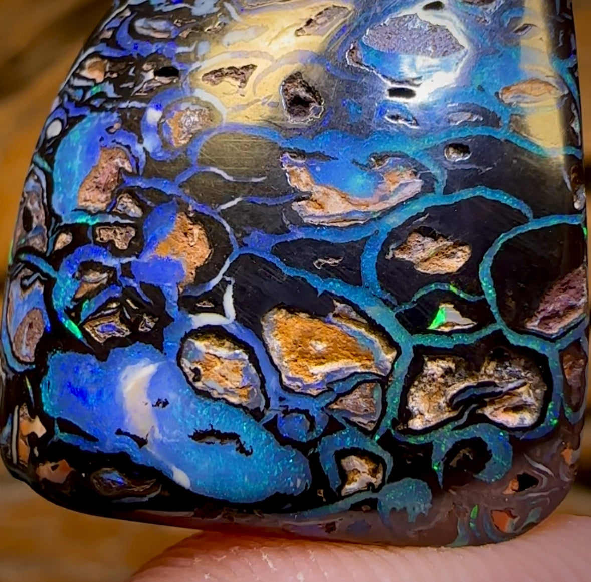 47.5cts - Top Tribal Koroit Nut Opal. Australian Opal