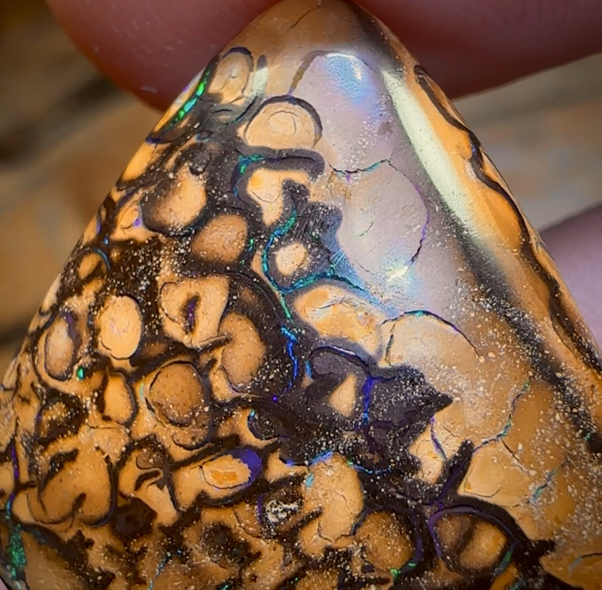 23.2cts - Tribal Australian Boulder Opal from Yowah