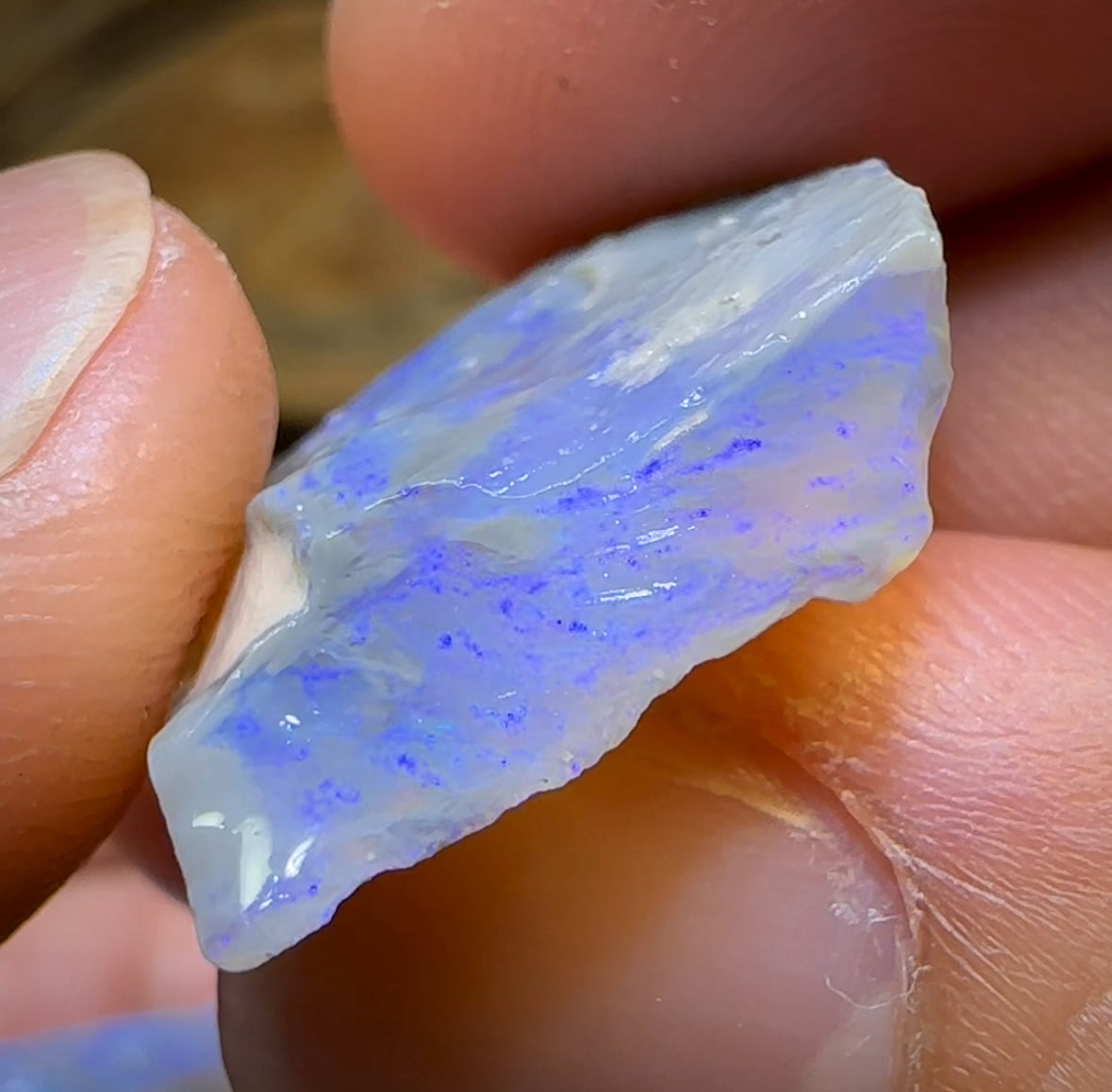 59.5cts - 5x Lightning Ridge Opal Rough Parcel