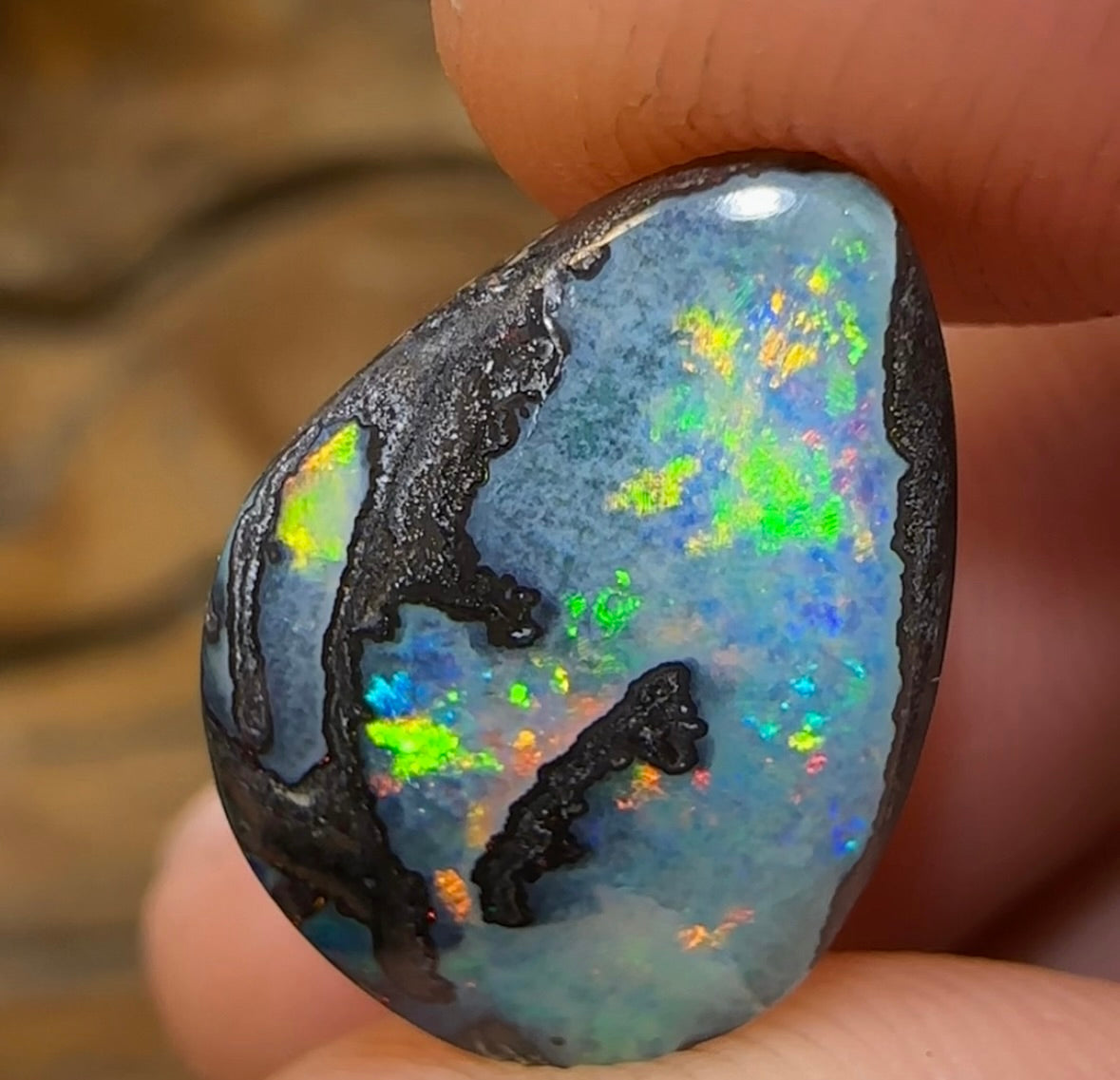 5.7cts - Solid Queensland Boulder Australian Opal - Opal Whisperers