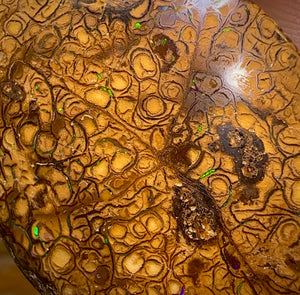 85.1cts - Large Tan Tribal Yowah Nut Opal