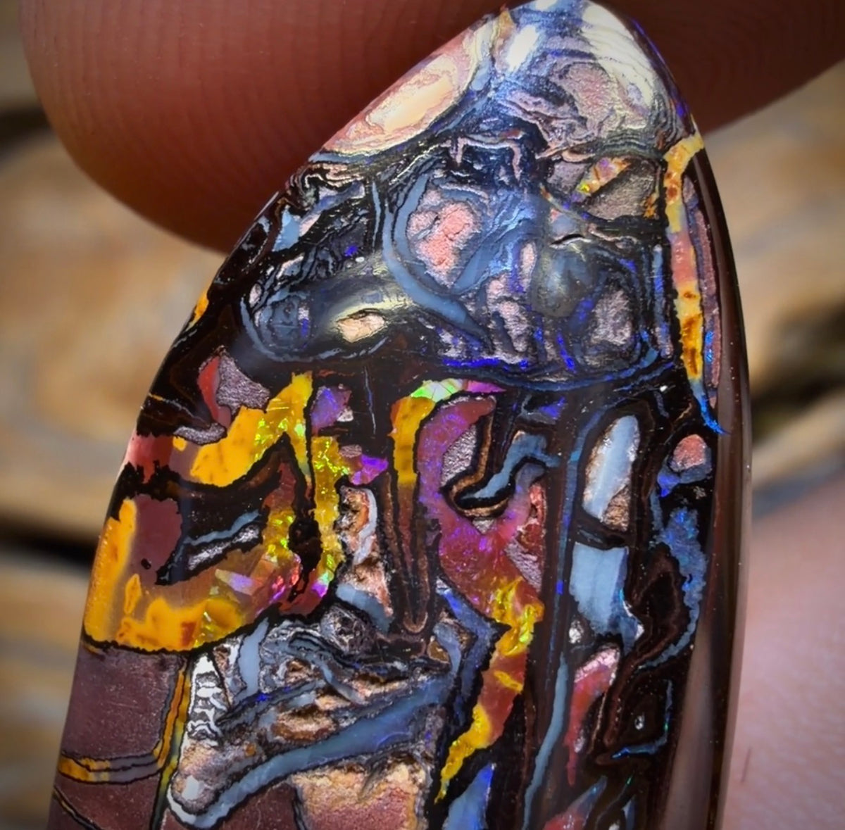 60.6cts - Tribal Queensland Boulder Opal from Koroit with Gold