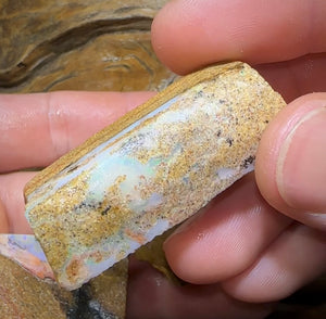 400cts - 3x Queensland Boulder Pipe Opal Rough Rubs - Opal Whisperers