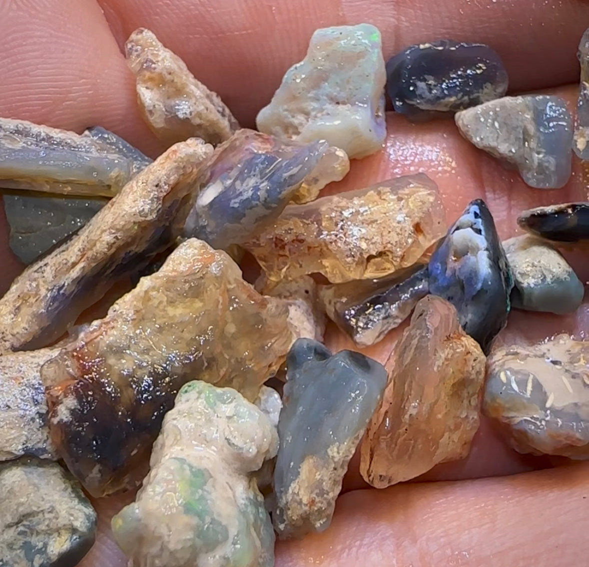 100cts - Lightning Ridge Fossil Rough Opal Specimen Parcels. BULK LISTING BARGAIN $2/Ct - Opal Whisperers