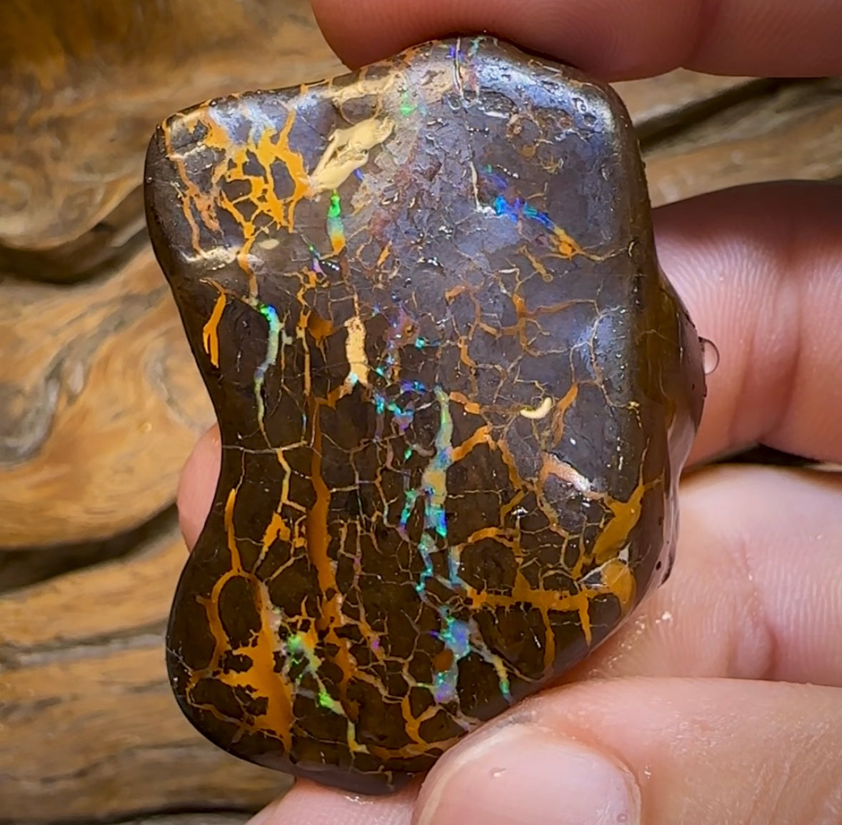 (Template) 226.6cts - Australian Boulder Opal Rub. Bubble Band - Opal Whisperers