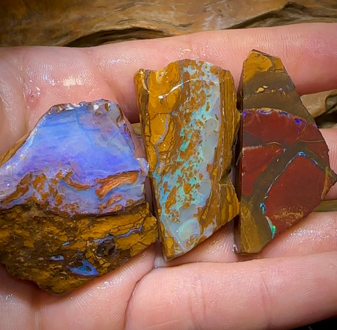 326.4cts - 3x Australian Boulder Opal Rough - Opal Whisperers