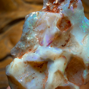 38.7cts - Lightning Ridge Dark Opal Rough Piece