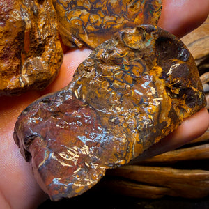 Art card bargain! 851.5cts - 3x Yowah Nut Tribal Opal Rough Parcel. Australian Boulder Opal