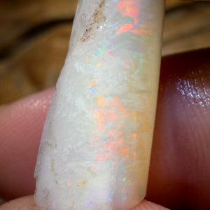 11.8cts - Opalised Belemnite Geological Specimen from South Australia