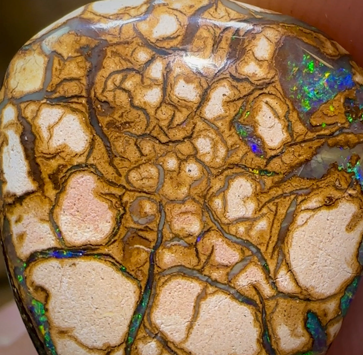 20.8cts - Yowah Nut Opal. White Porcelain Tribal Pattern - Opal Whisperers