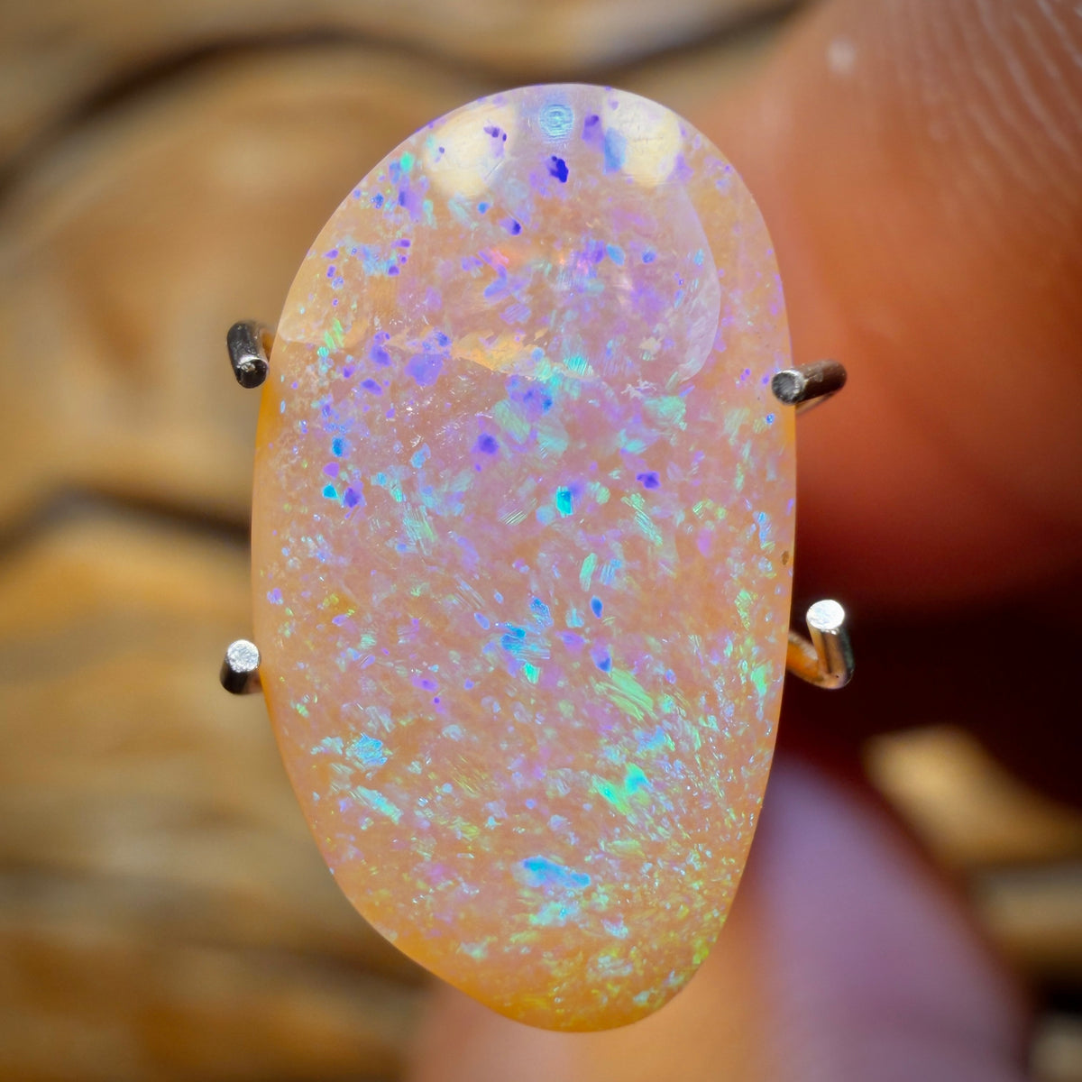 2.2cts - Solid Australian Boulder Crystal Opal