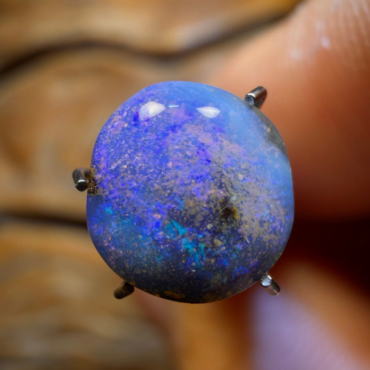 2.3cts - Queensland Boulder Seam Opal from Winton