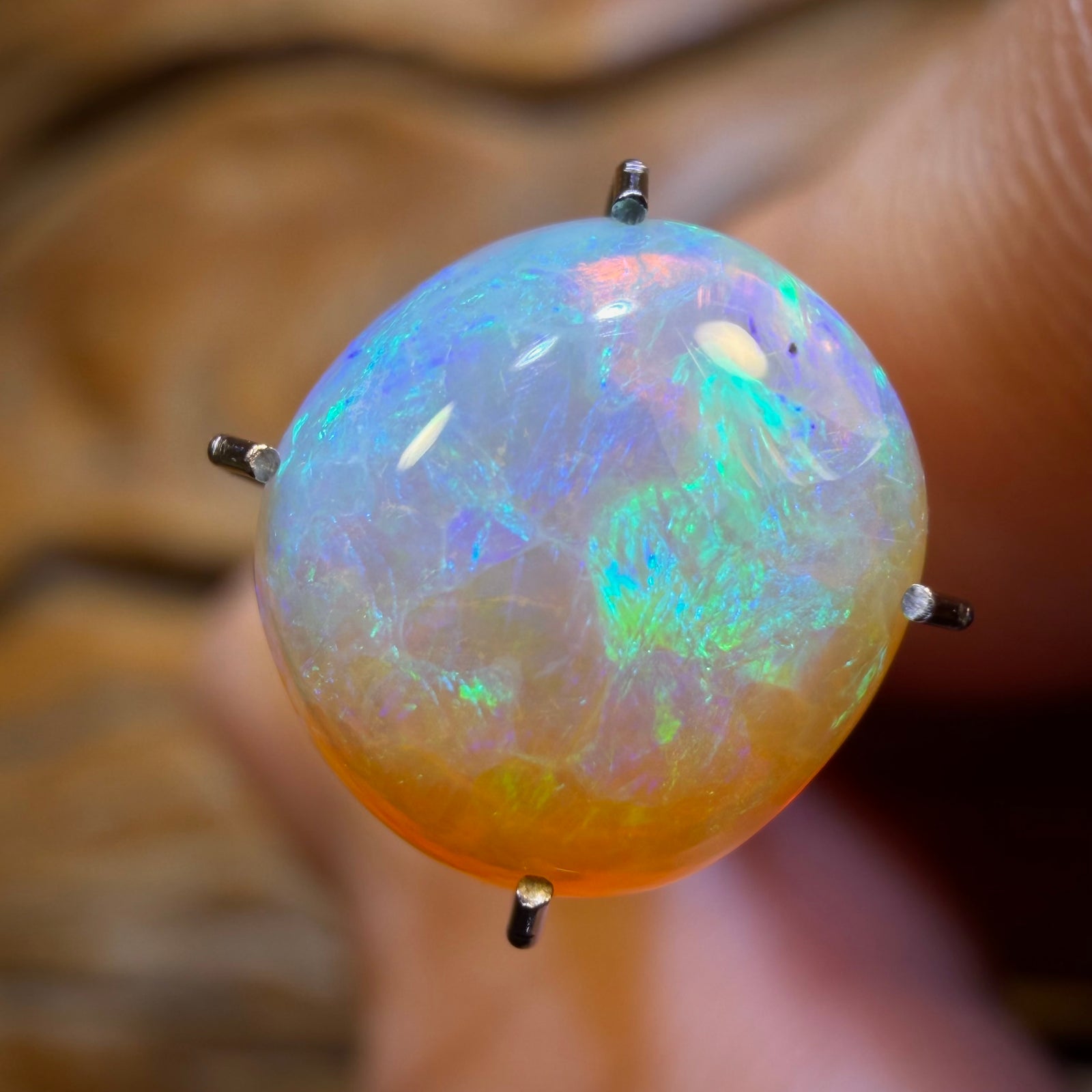 2.4cts - Lightning Ridge Crystal Opal