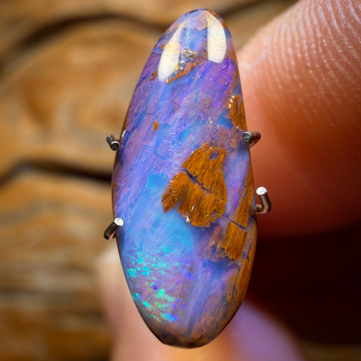 2.4cts - Wood Fossil Replacement Boulder Opal from Yowah