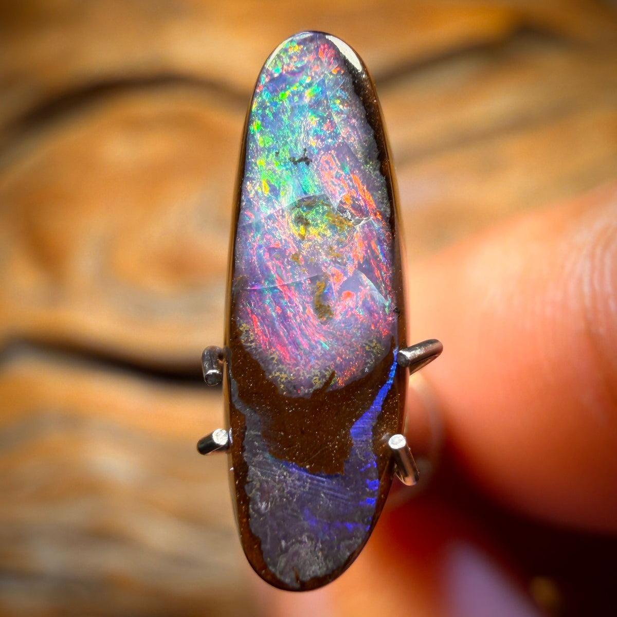 2.5cts - Queensland Boulder Seam Opal from Winton