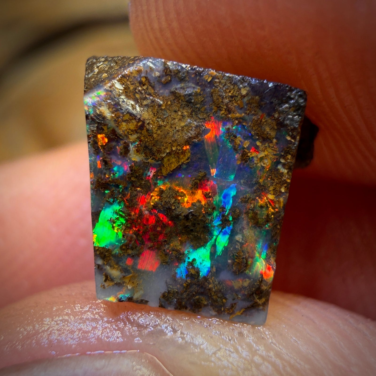 2.6cts - Queensland Boulder Seam Opal Rough Preform