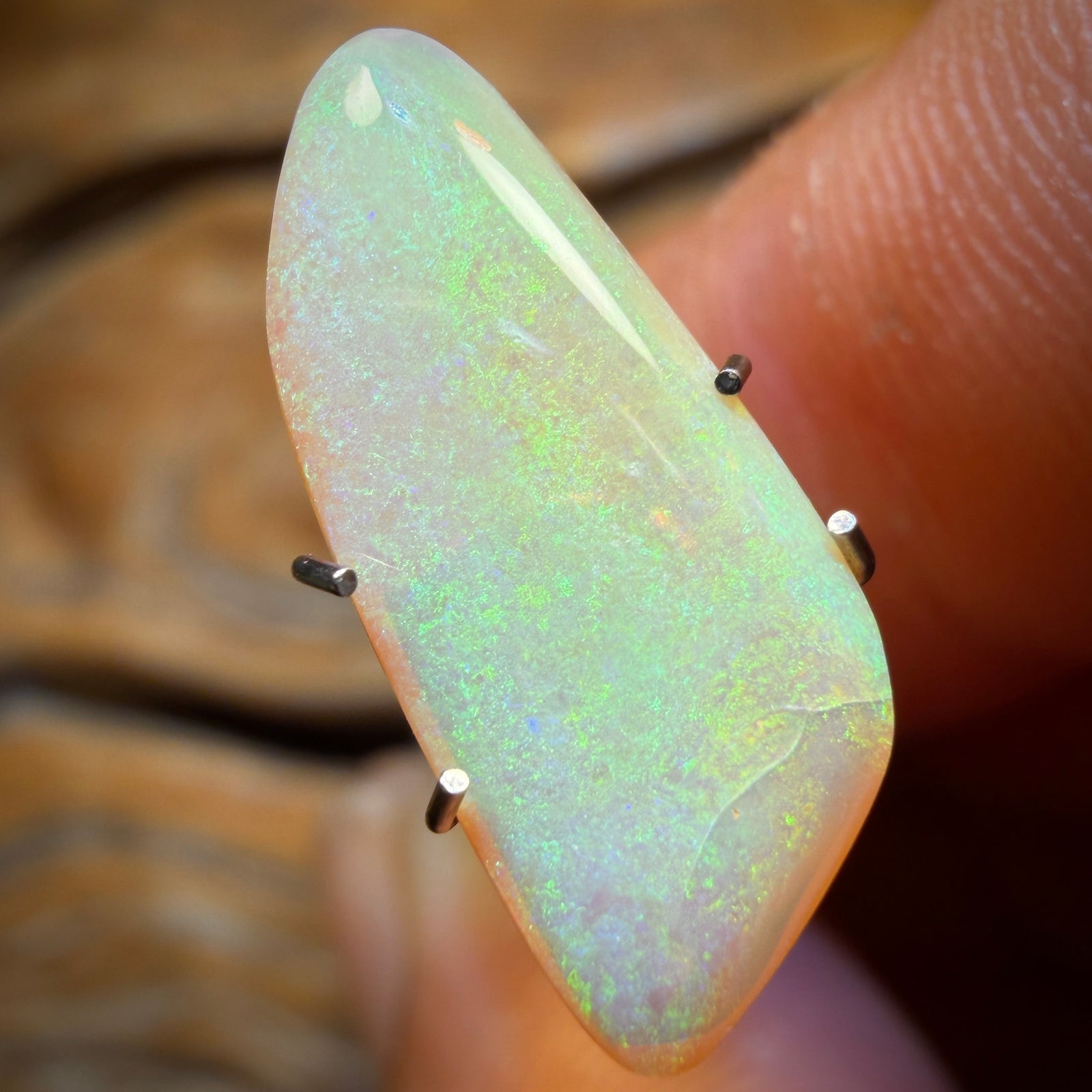 2.7cts - Yowah Nut Golden Crystal Opal