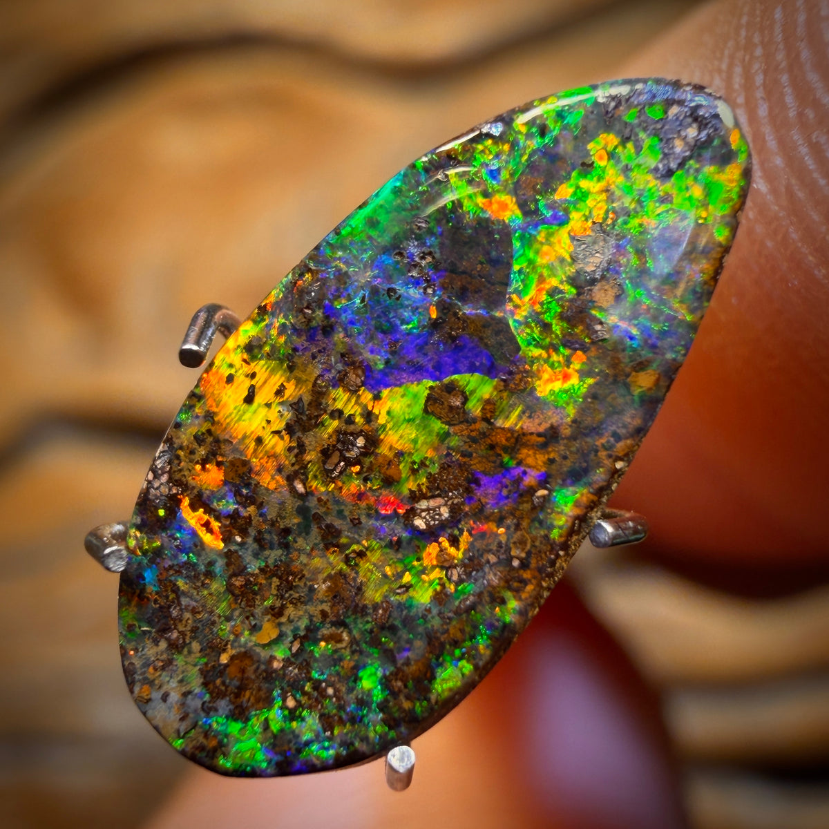 2.8cts - Top Queensland Boulder Seam Opal