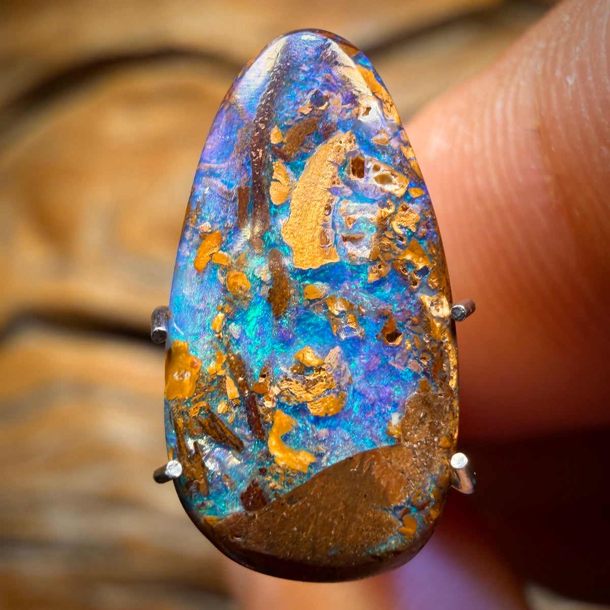 2.8cts - Wood Fossil Replacement Boulder Opal from Yowah
