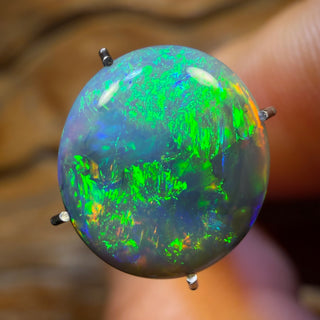 2.9cts -Lightning Ridge Black Opal