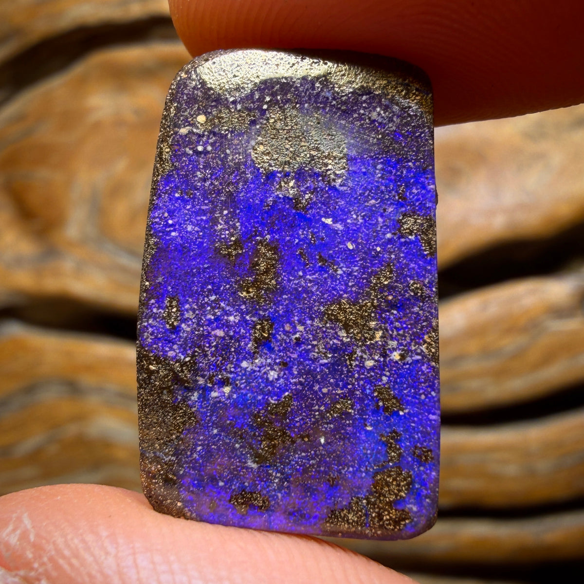 20.1cts - Queensland Boulder Seam Opal from Winton