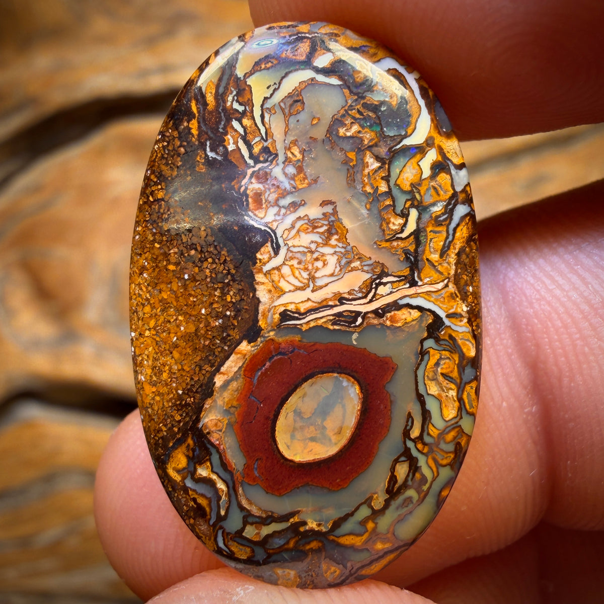 20.5cts - Tribal Queensland Boulder Opal. Australian Opal