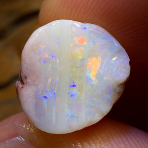 20.8cts - Opalised Belemnite Geological Specimen from South Australia
