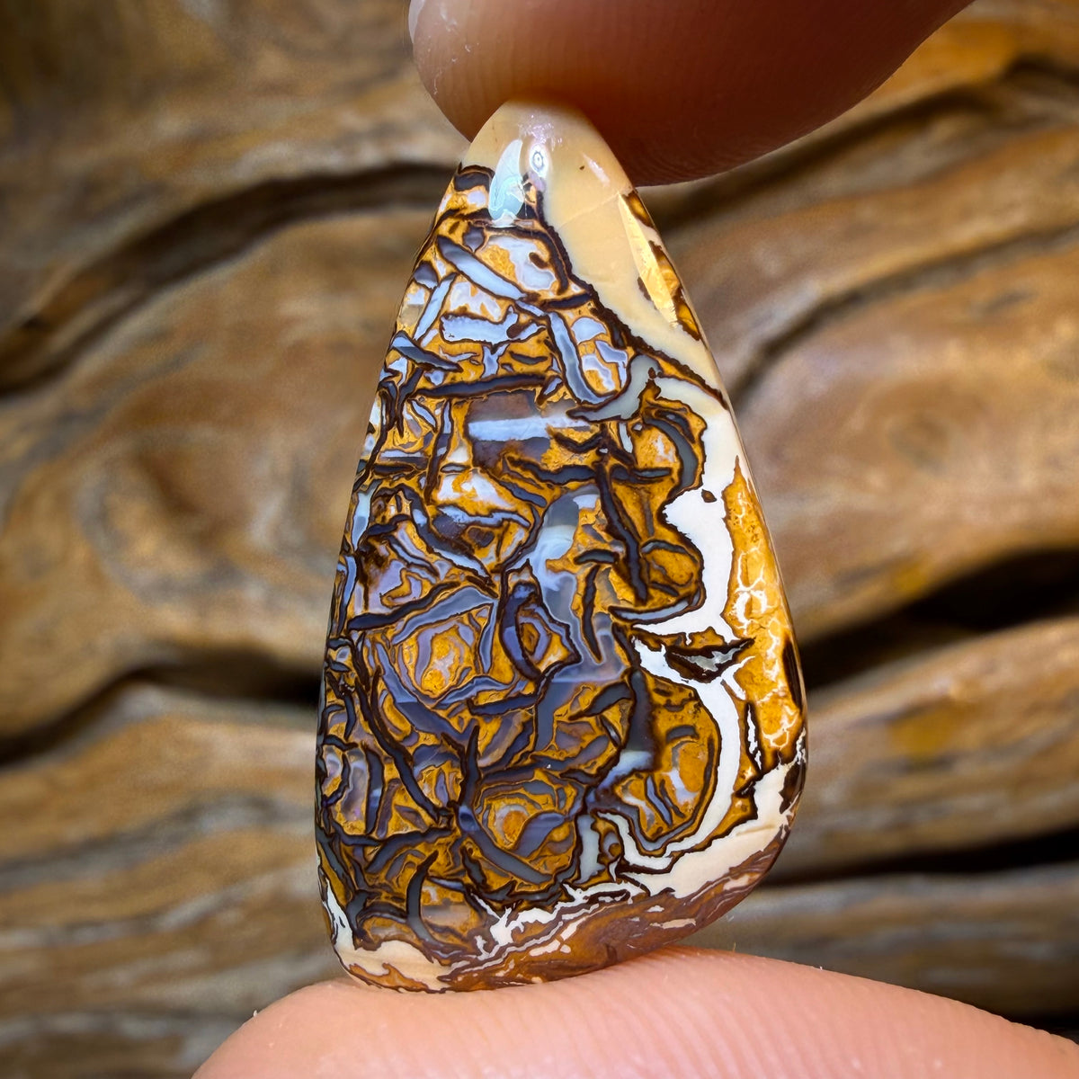 20.9cts - Tribal Australian Boulder Opal from Yowah