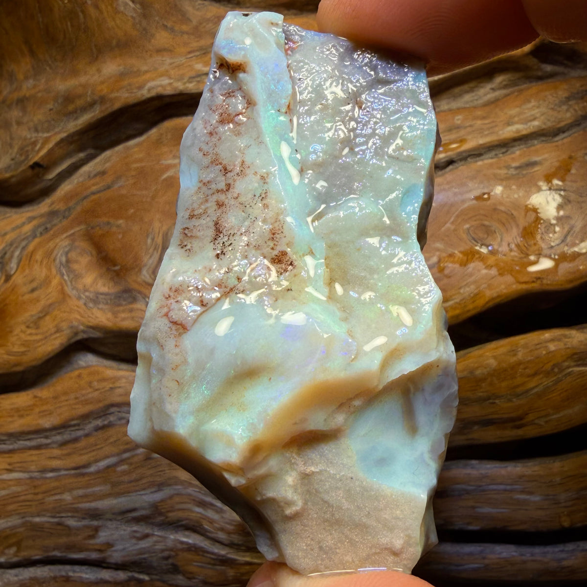 201.6cts - Lightning Ridge Dark Opal Rough Piece