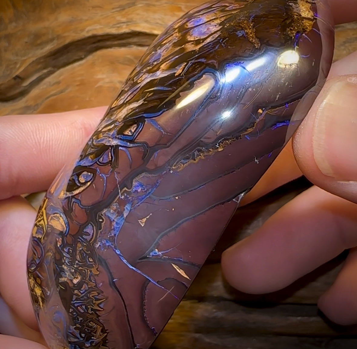 1157cts - Polished Tribal Yowah Nut Opal Specimen. Heritage Collection