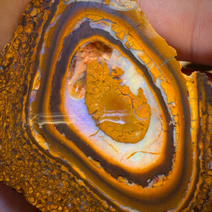 697cts - Large Yowah Nut Partial Crystal Centre Rough Specimen Pair