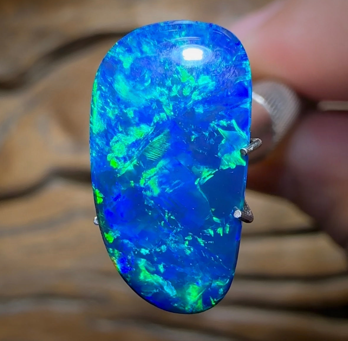 6.3cts - TOP Australian Boulder Opal Doublet - Opal Whisperers