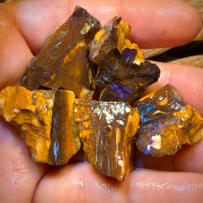 206.4cts - 5x Australian Boulder Opal Rough Parcel