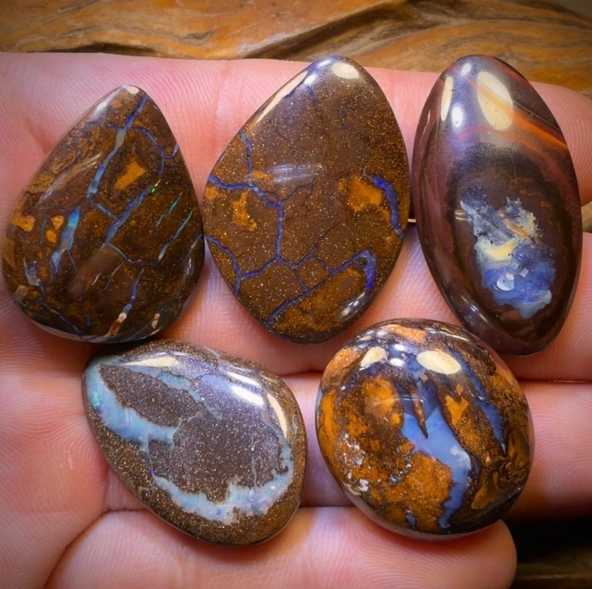 200.9cts - 5x Mixed Australian Boulder Opal’s. Wholesale Dealers Parcel