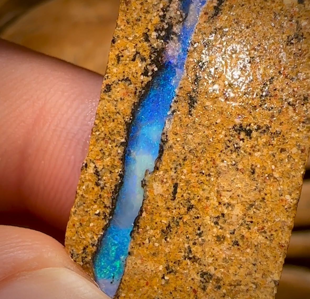 Bargain card! 85.1cts - 2x Queensland Boulder Pipe Opal Rough Pieces