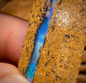 Bargain card! 85.1cts - 2x Queensland Boulder Pipe Opal Rough Pieces