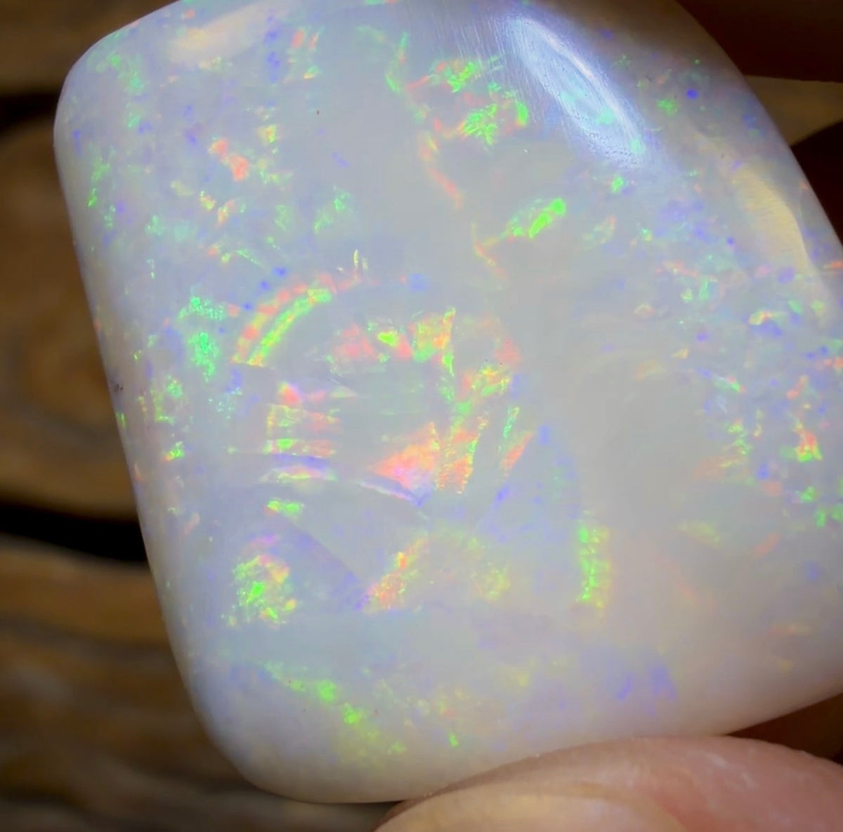 21.6cts - Olympic, South Australian White Opal