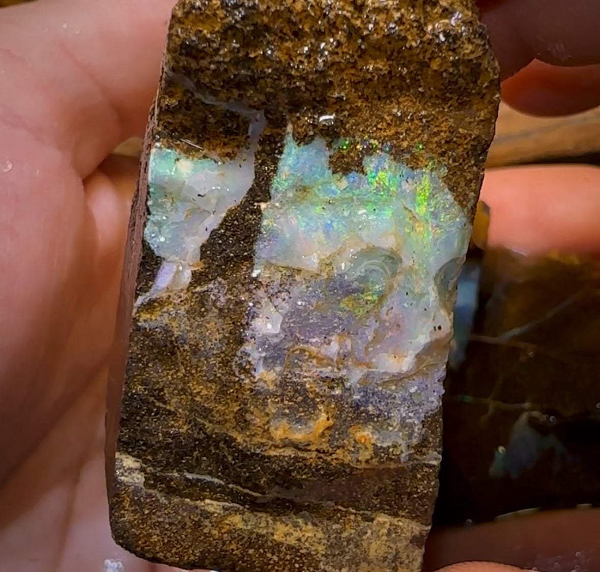 849cts - 3x Queensland Boulder Opal Rough Parcel from Winton