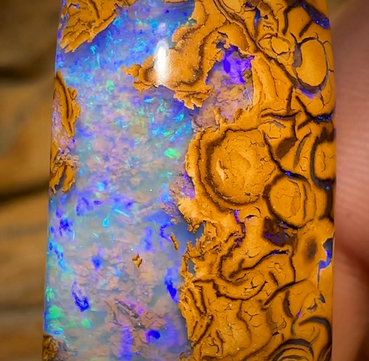 69.2cts - Yowah Nut Tribal Opal w/ Partial Crystal Centre!