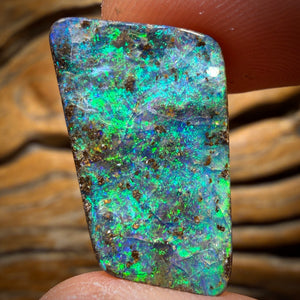 21.1cts - Top Reef Pattern Queensland Boulder Seam Opal